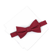 Load image into Gallery viewer, Alfani Men&#39;s Mini Neat To-Tie Bow Tie &amp; Solid Pocket Square Set
