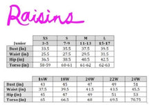 Load image into Gallery viewer, Raisins Curve Plus Around The World Bustier Bikini Top, Multi, 24W
