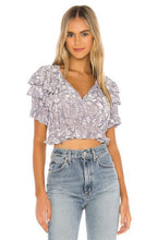 Load image into Gallery viewer, Free People Women's Velveteen Dreams Velvet Crop Top, Silver Mauve, S
